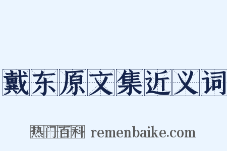 戴东原文集近义词是什么意思的图片